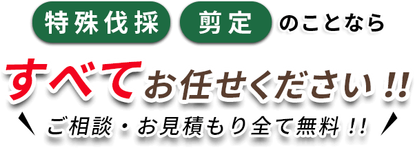 特殊伐採・選定のことならすべてお任せくいださい!!ご相談・お見積り全て無料!!